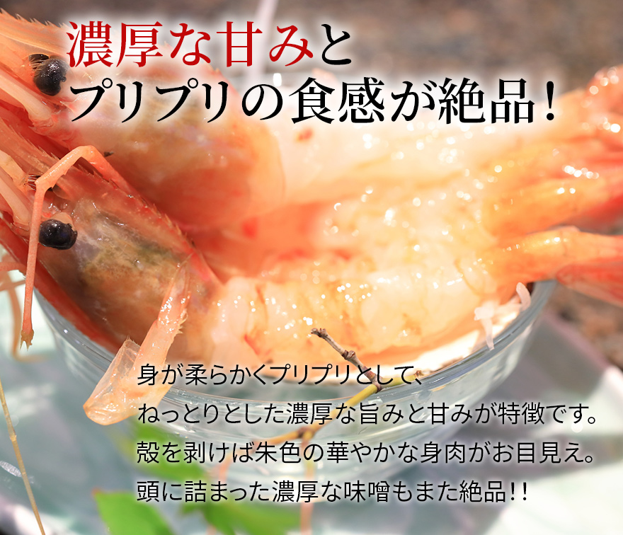 ボタンエビ生食用