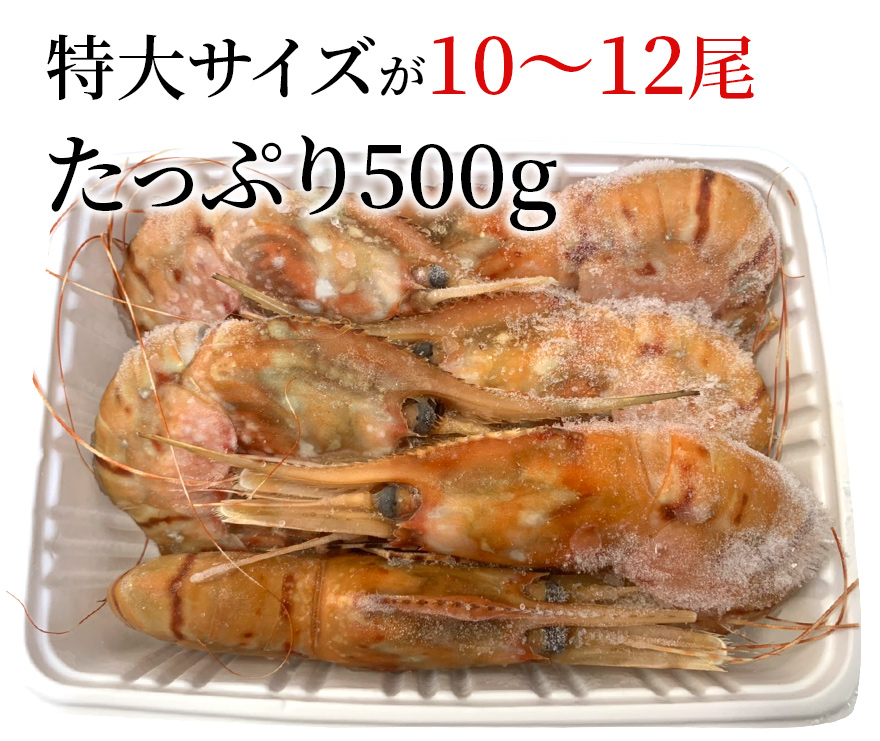 ボタンエビ生食用