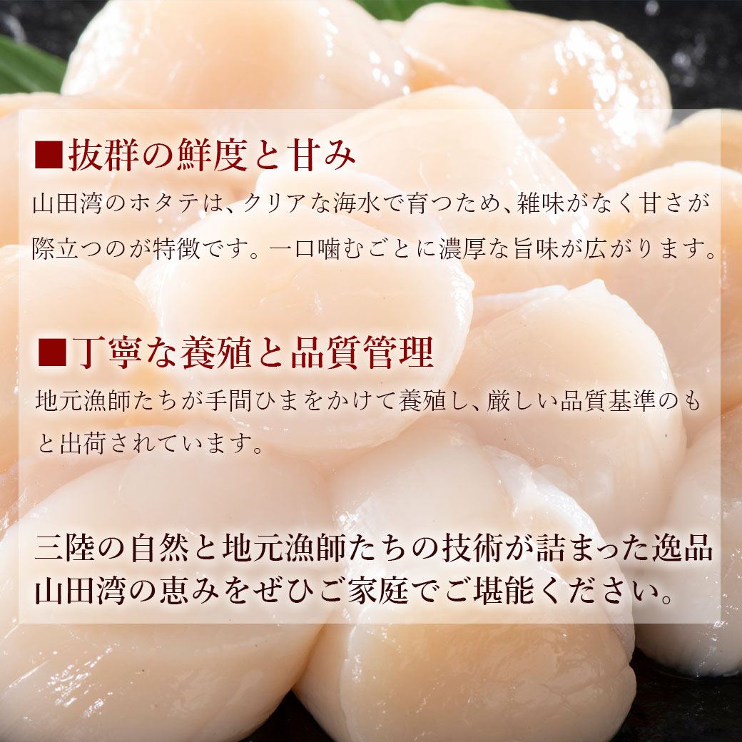 山田湾 ホタテ