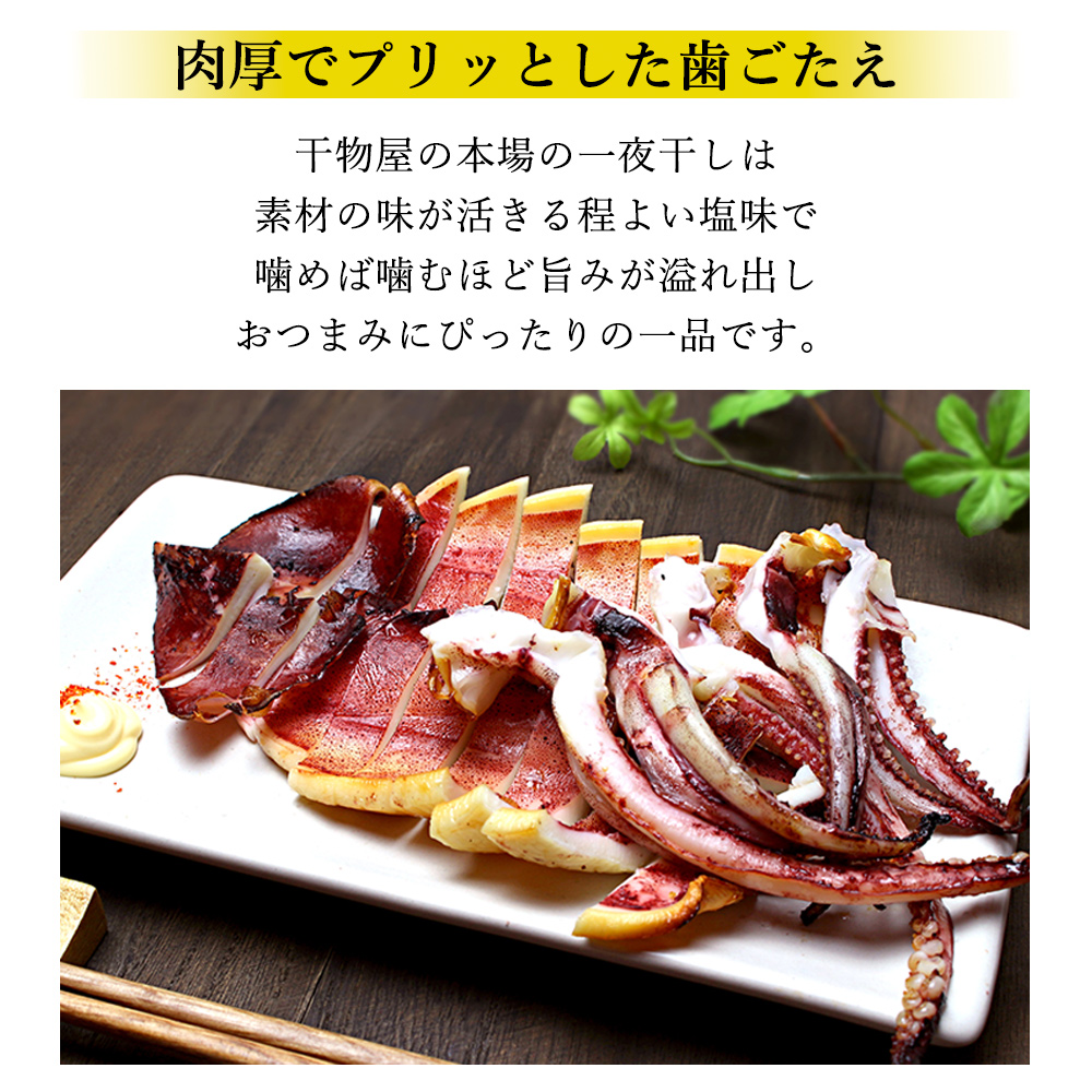 するめいか 開き M 2枚入×2 小が理商店 干物 三陸産 いか イカ