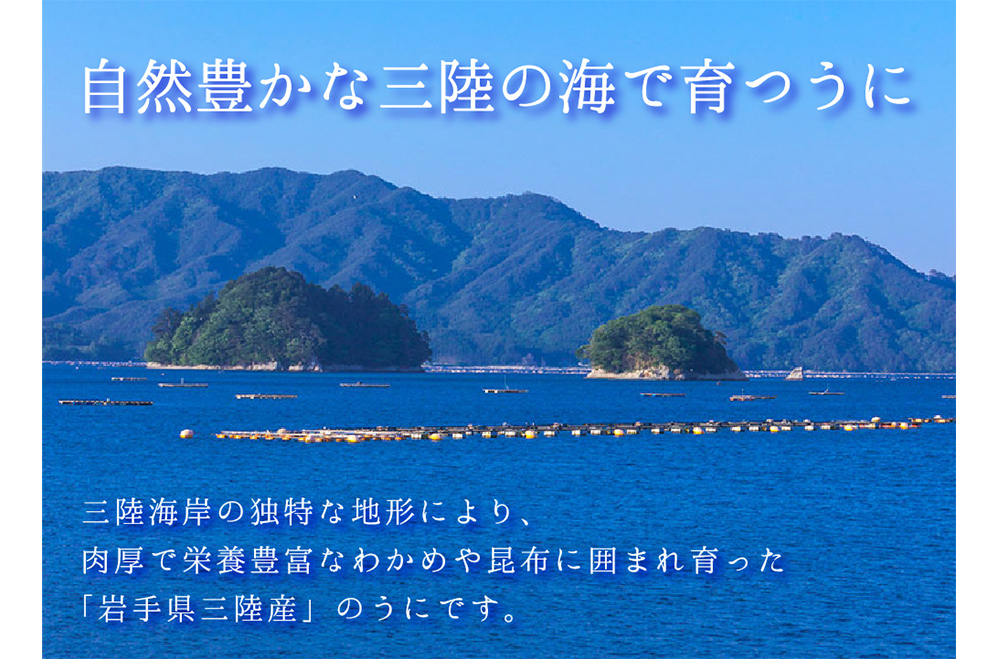 塩うに 岩手県産 三陸 80g 五篤丸水産 母の日 父の日 お中元