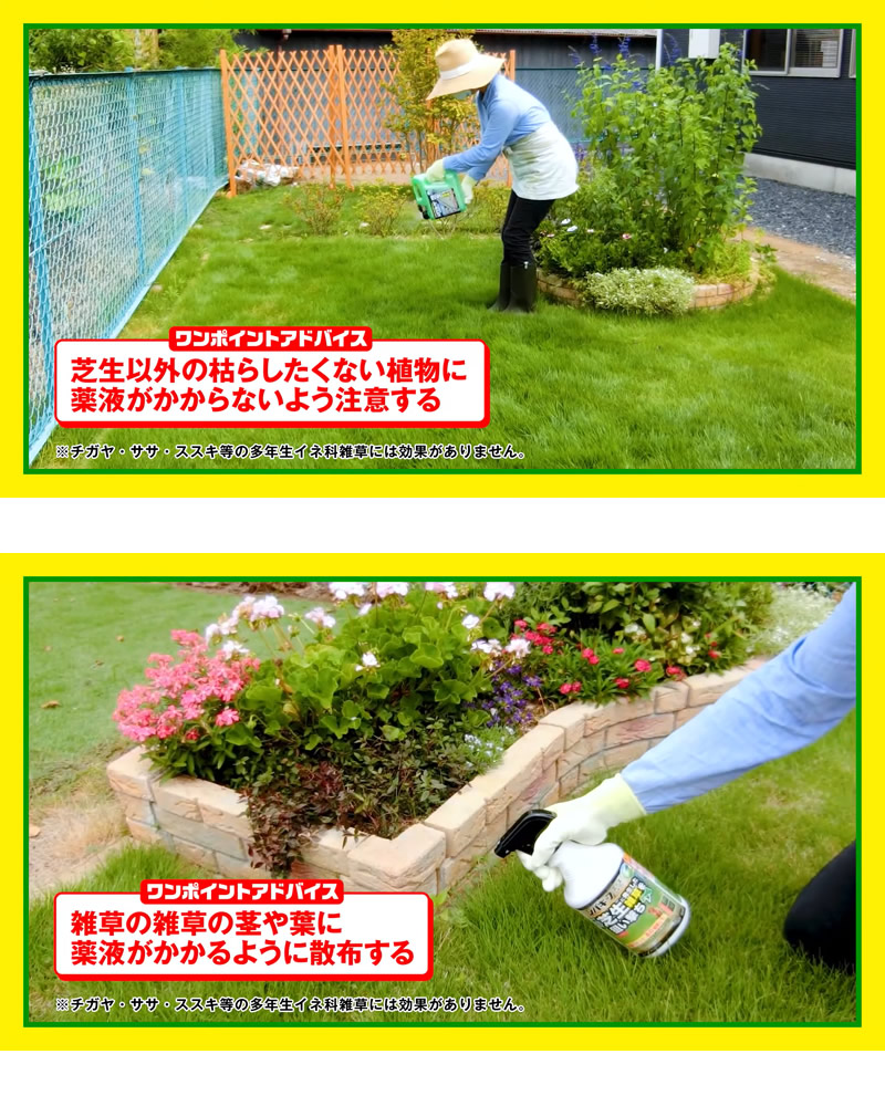レインボー薬品 シバキープエース シャワー 2L×8本 芝生用シャワー除草剤｜gekitaitai｜05