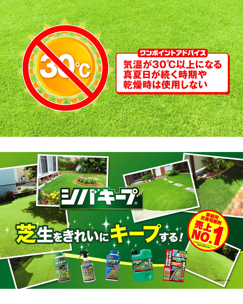 レインボー薬品 シバキープエース シャワー 2L×16本 芝生用シャワー除草剤｜gekitaitai｜06