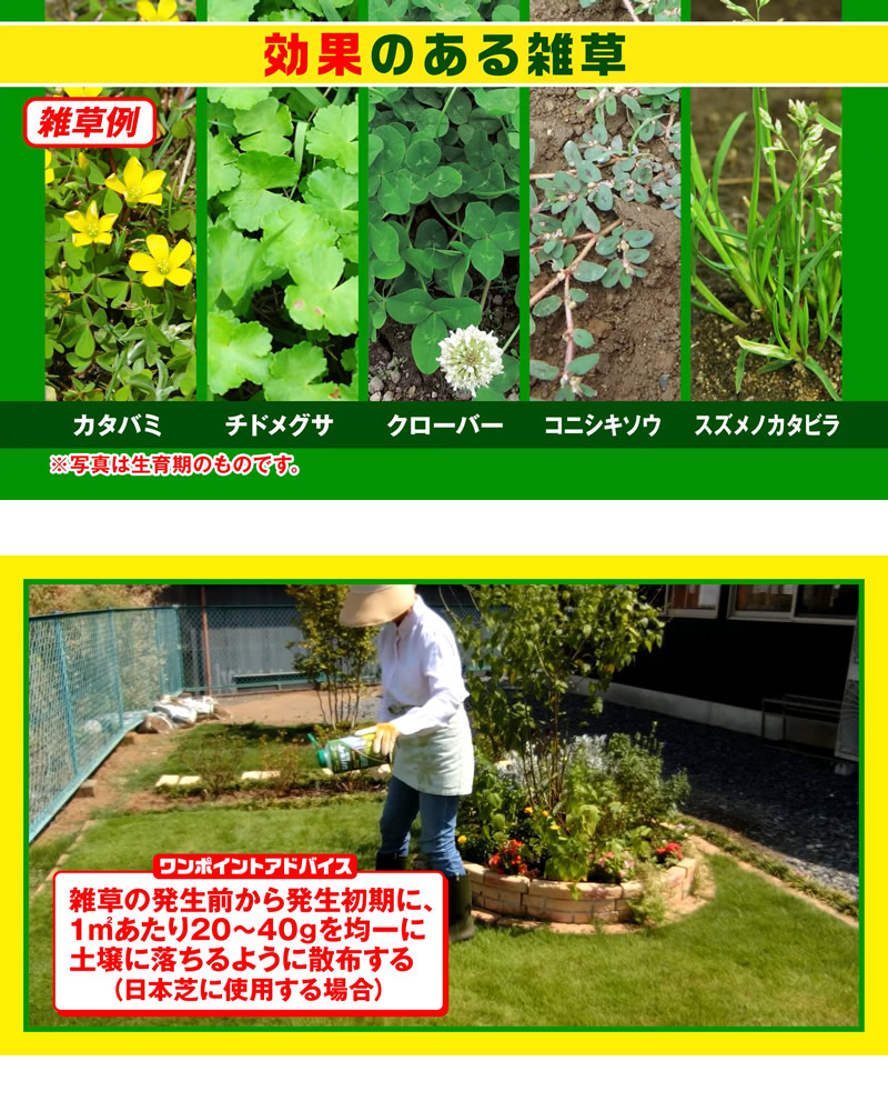 レインボー薬品 シバキープIII 粒剤 芝生用粒状除草剤 1.5kg×20個｜gekitaitai｜05