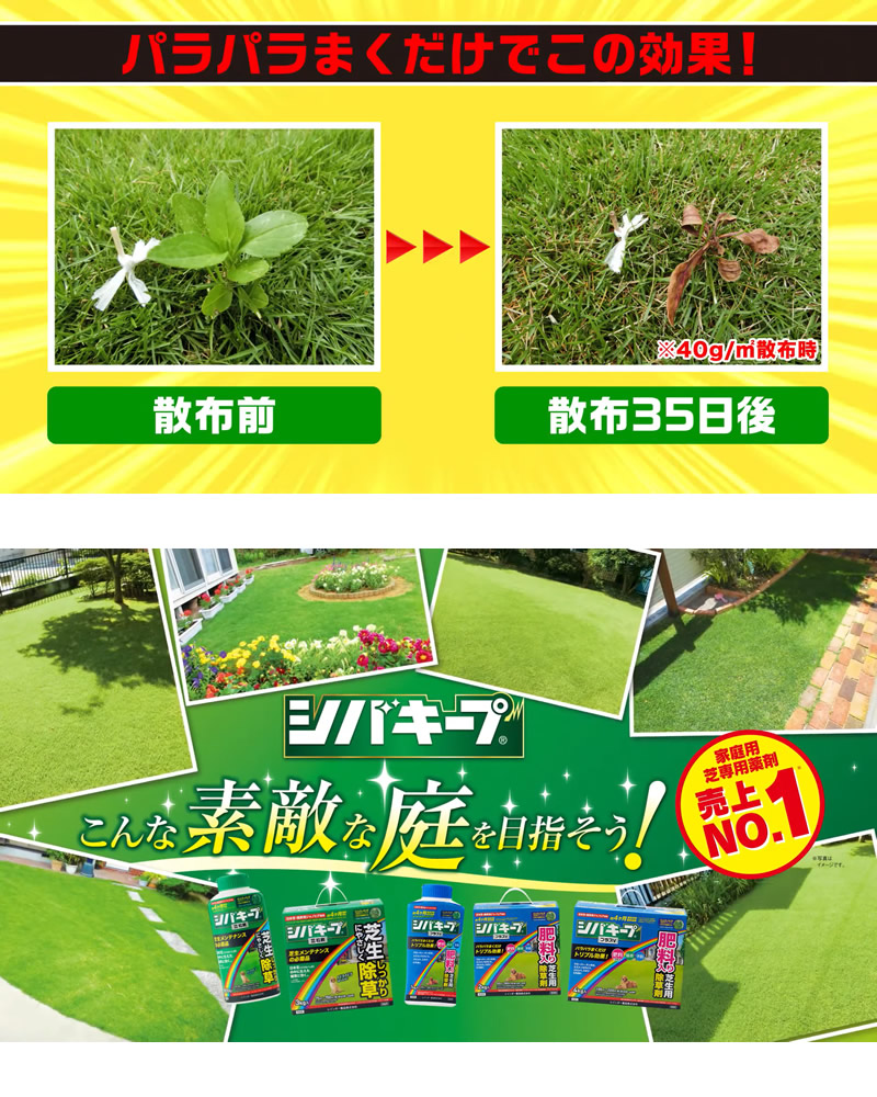 レインボー薬品 シバキープIII 粒剤 芝生用粒状除草剤 1.5kg×20個｜gekitaitai｜06