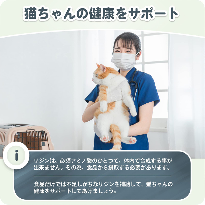 微細粉末