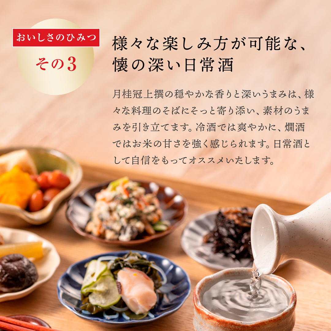 上撰さけパック900mL