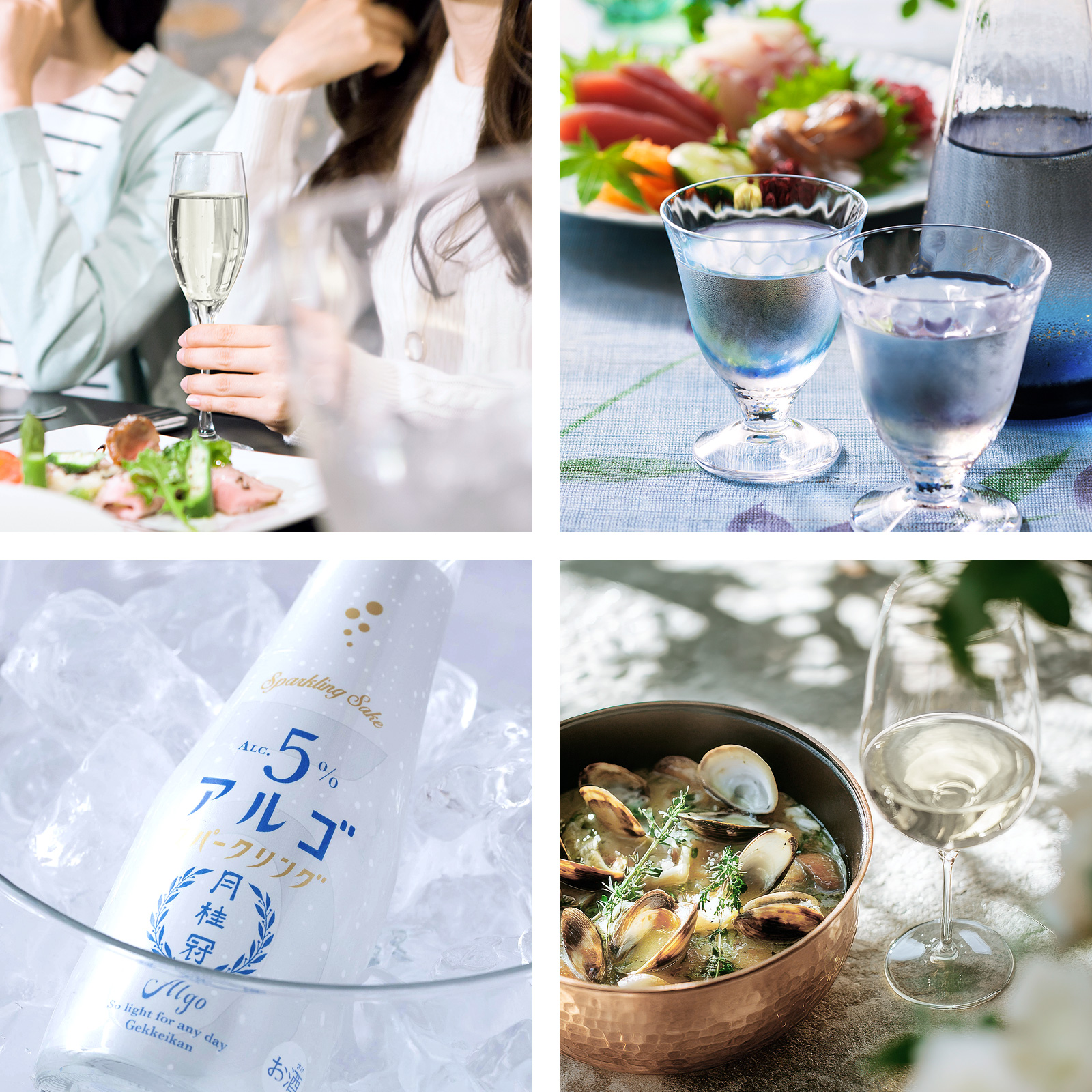 アルゴ 日本酒5.0