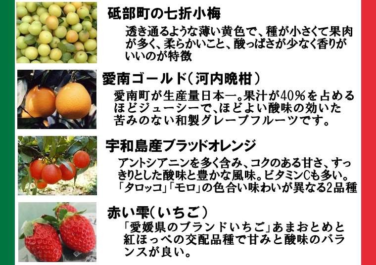 ジェラートのジェラテリアUNO フレーバー、七折小梅、愛南ゴールド、ブラッドオレンジ、赤い雫,イチゴ