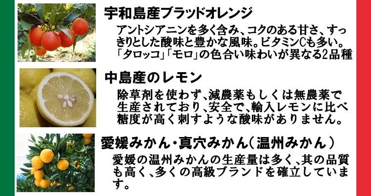 ジェラートのジェラテリアUNO フレーバー、ブラッドオレンジ、レモン、温州ミカン,真穴みかん