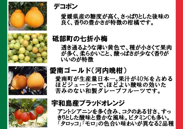 ジェラートのジェラテリアUNO フレーバー、不知火、七折小梅、愛南ゴールド、ブラッドオレンジ