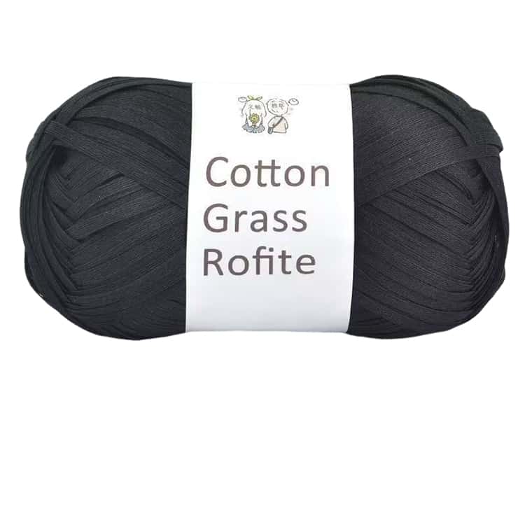 2玉入】 コットンラフィア ラフィア 毛糸 洗える Raffia 糸 夏糸 綿糸