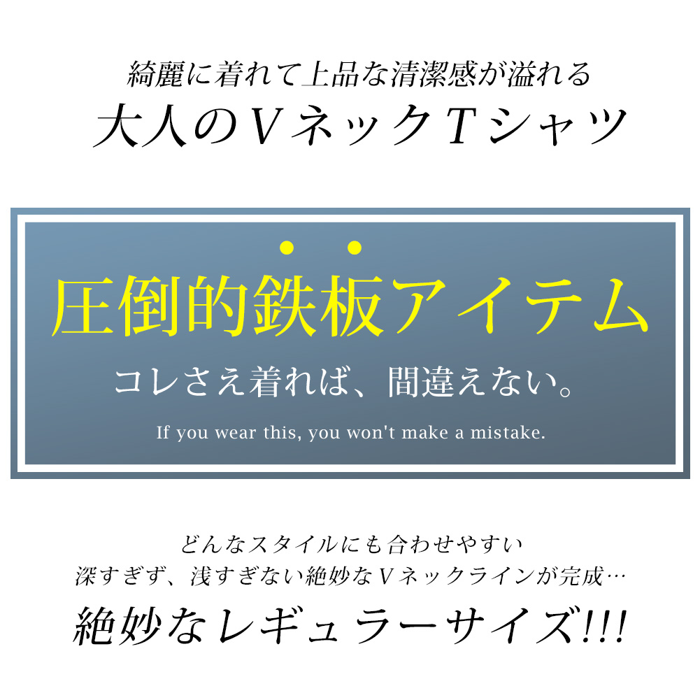 tシャツ メンズ Vネック 半袖tシャツ リンクスジャガード 総柄 T