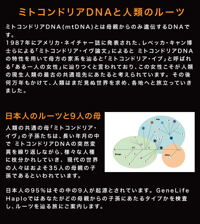 祖先遺伝子検査キット Genelife Haplo ジーンライフ ハプロ Genelife 公式ストア Yahoo 店 通販 Yahoo ショッピング