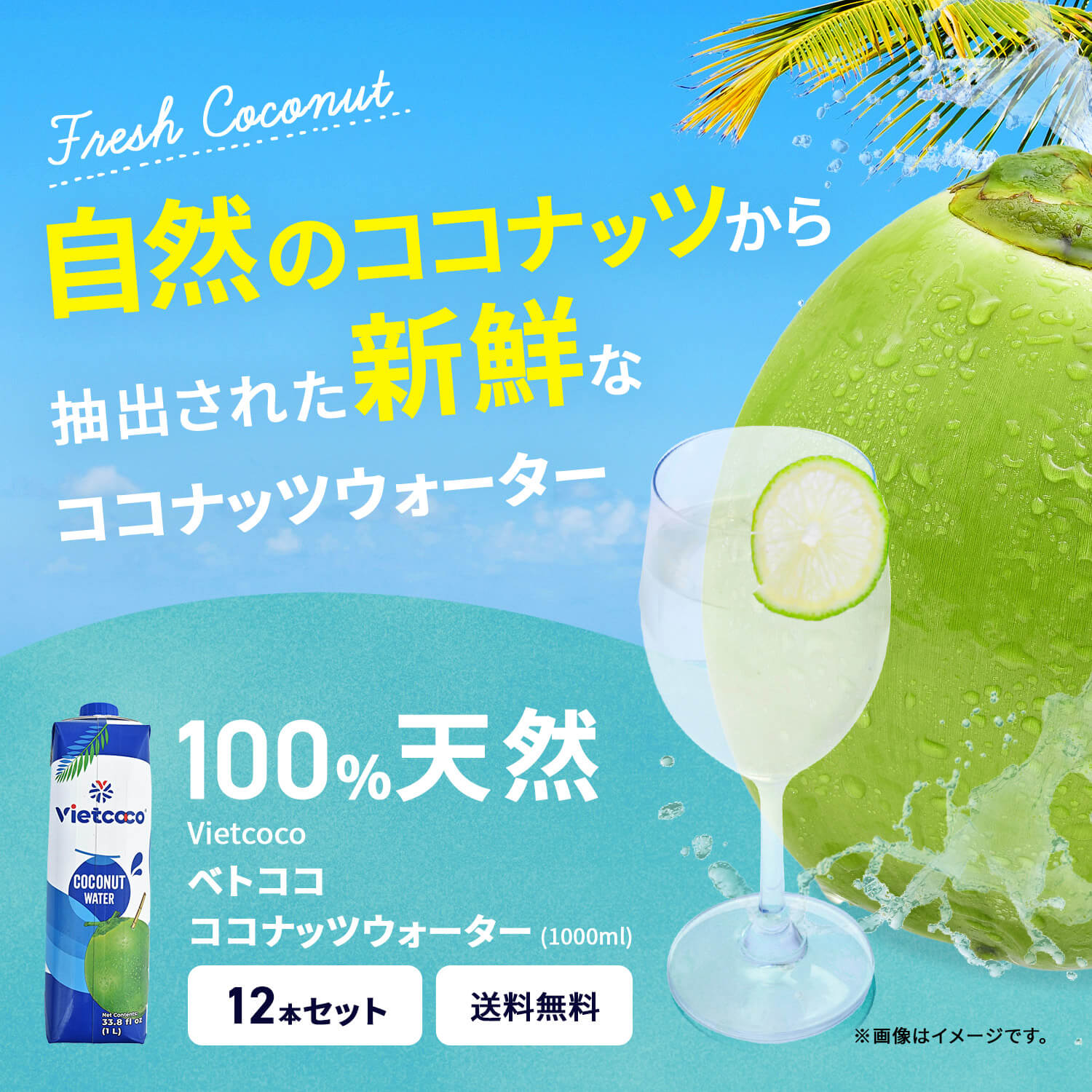 VIETCOCOココナッツウォーター1000ml/NUOCDUAVIETCOCO1000ml