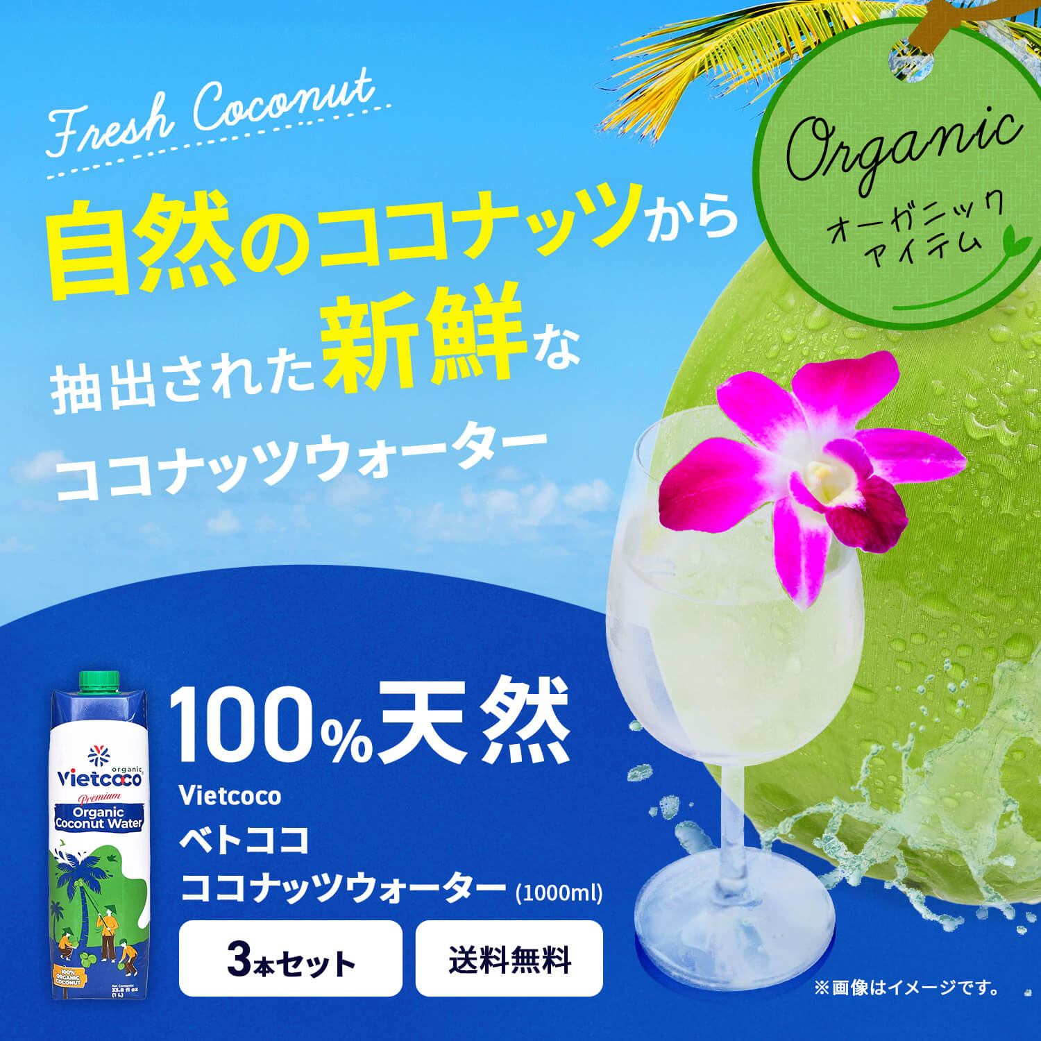 VIETCOCOココナッツウォーター1000ml/NUOCDUAVIETCOCO1000ml