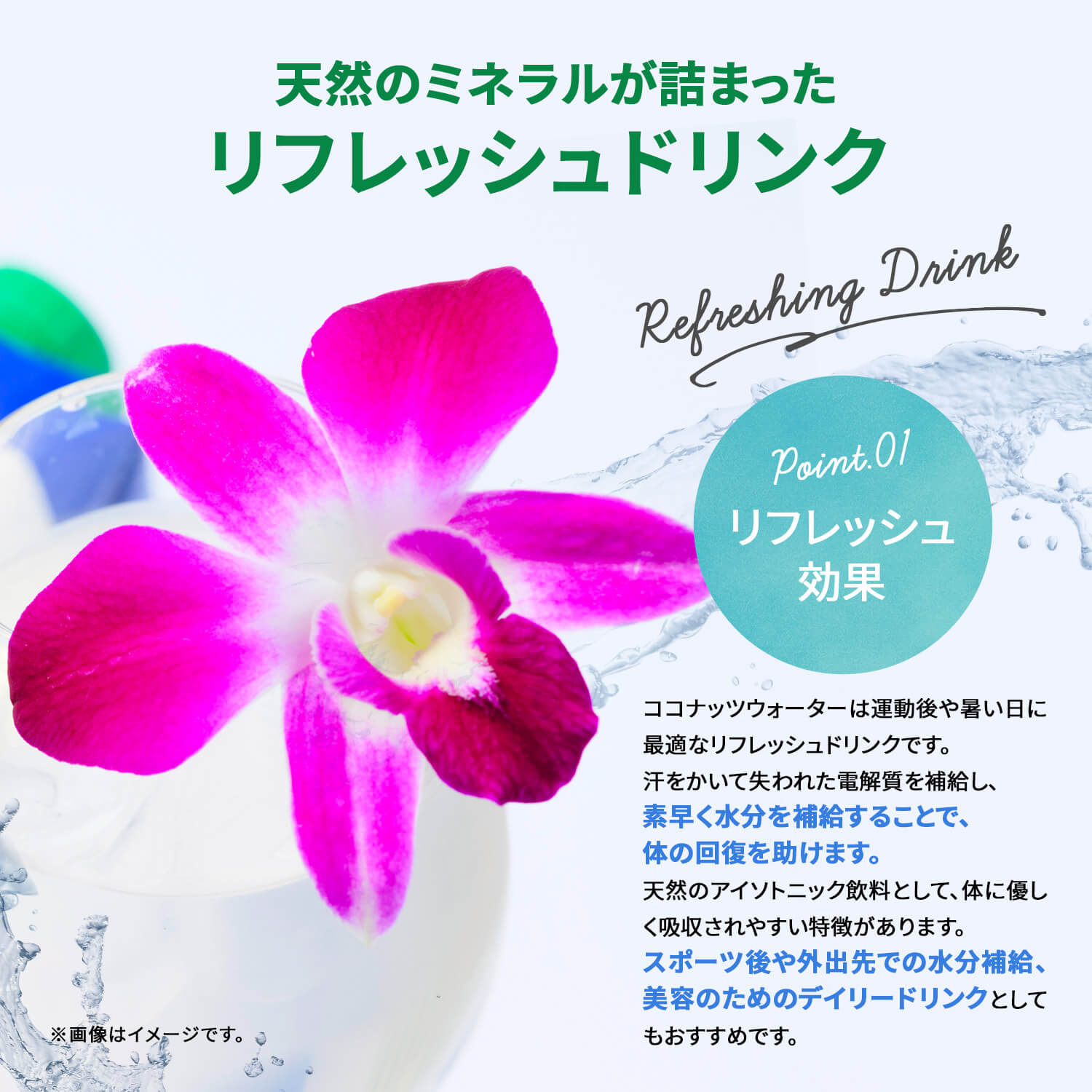 VIETCOCOココナッツウォーター1000ml/NUOCDUAVIETCOCO1000ml