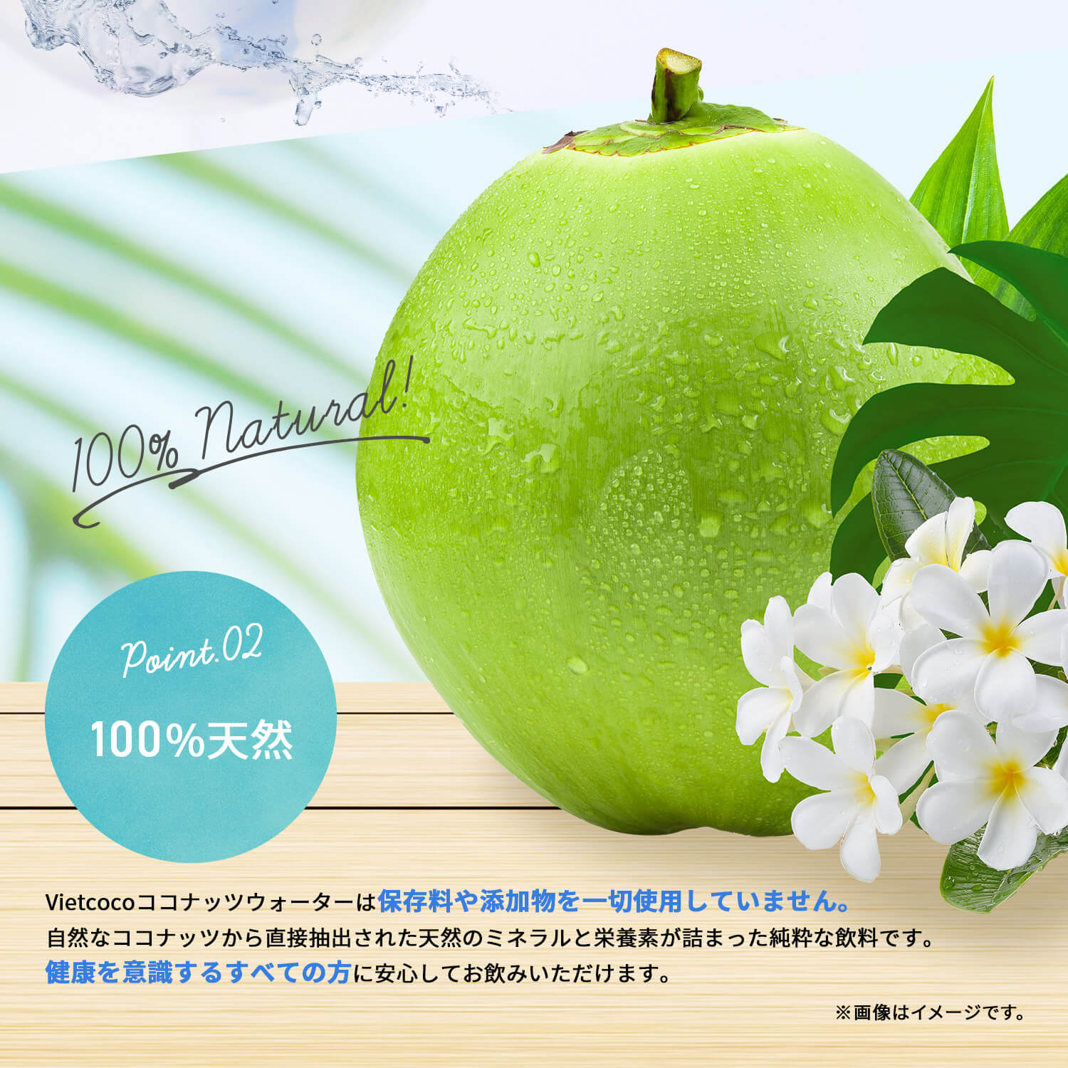 VIETCOCOココナッツウォーター1000ml/NUOCDUAVIETCOCO1000ml