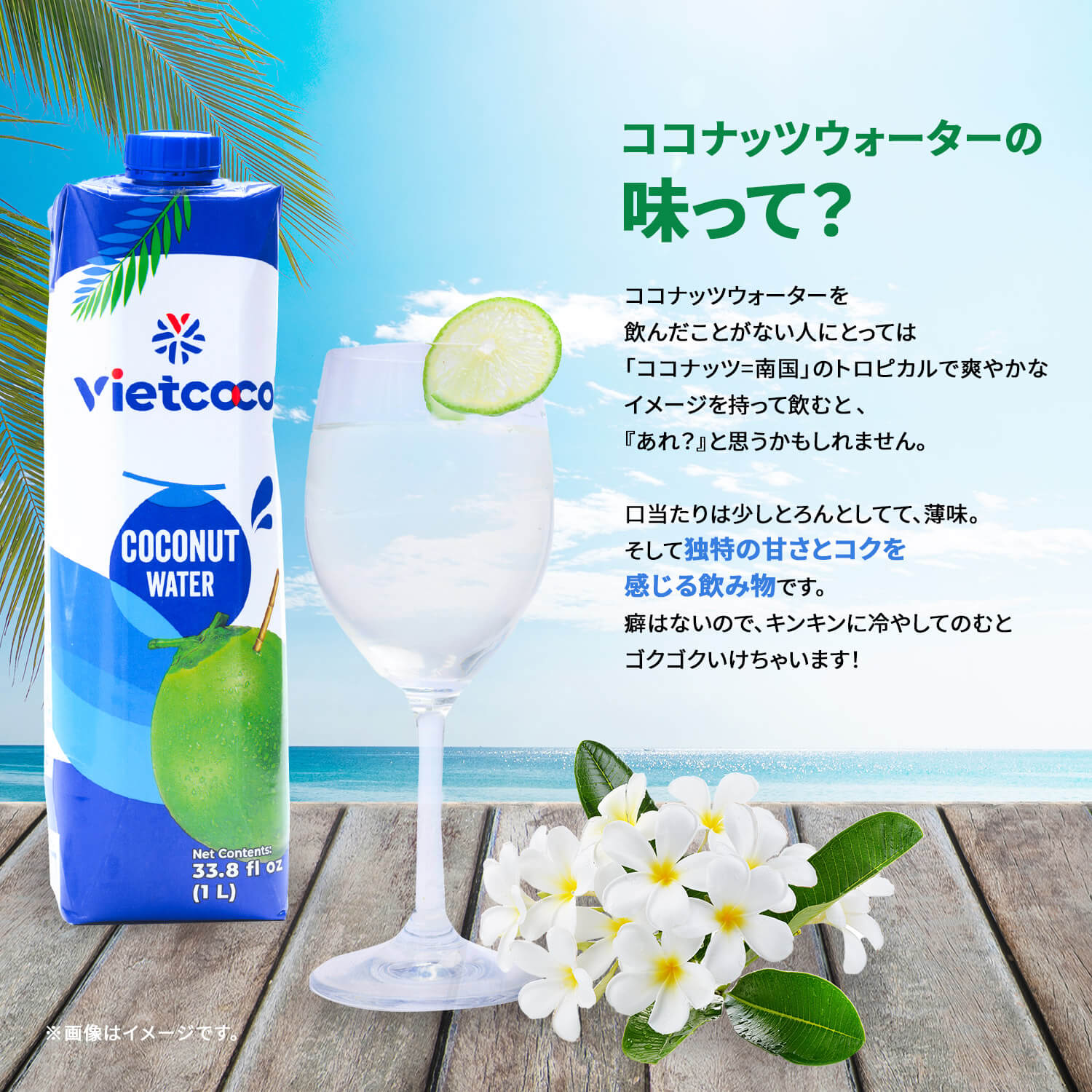 VIETCOCOココナッツウォーター1000ml/NUOCDUAVIETCOCO1000ml