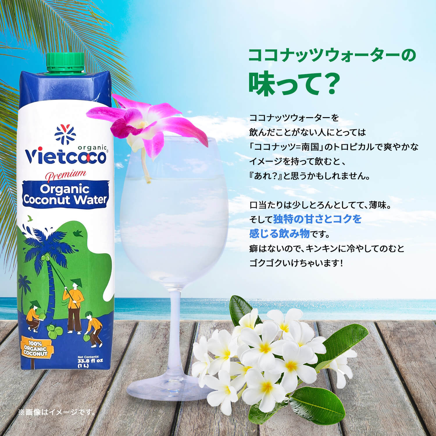 VIETCOCOココナッツウォーター1000ml/NUOCDUAVIETCOCO1000ml