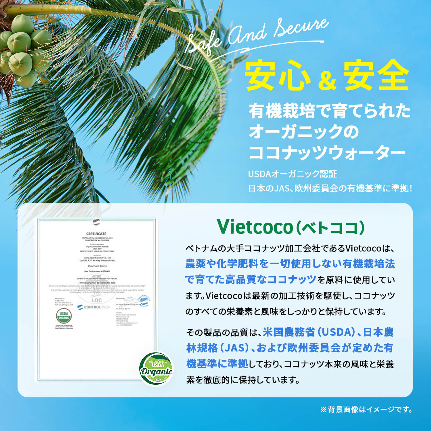 VIETCOCOココナッツウォーター1000ml/NUOCDUAVIETCOCO1000ml