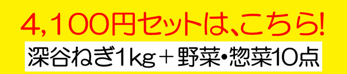 3000円はこちら