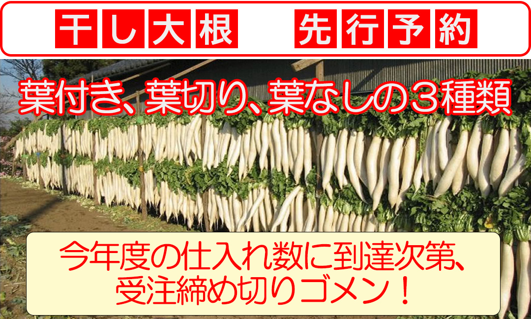 最大50％オフ！ 大根干しクリップ 10個入 農業資材