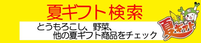 夏ギフト検索