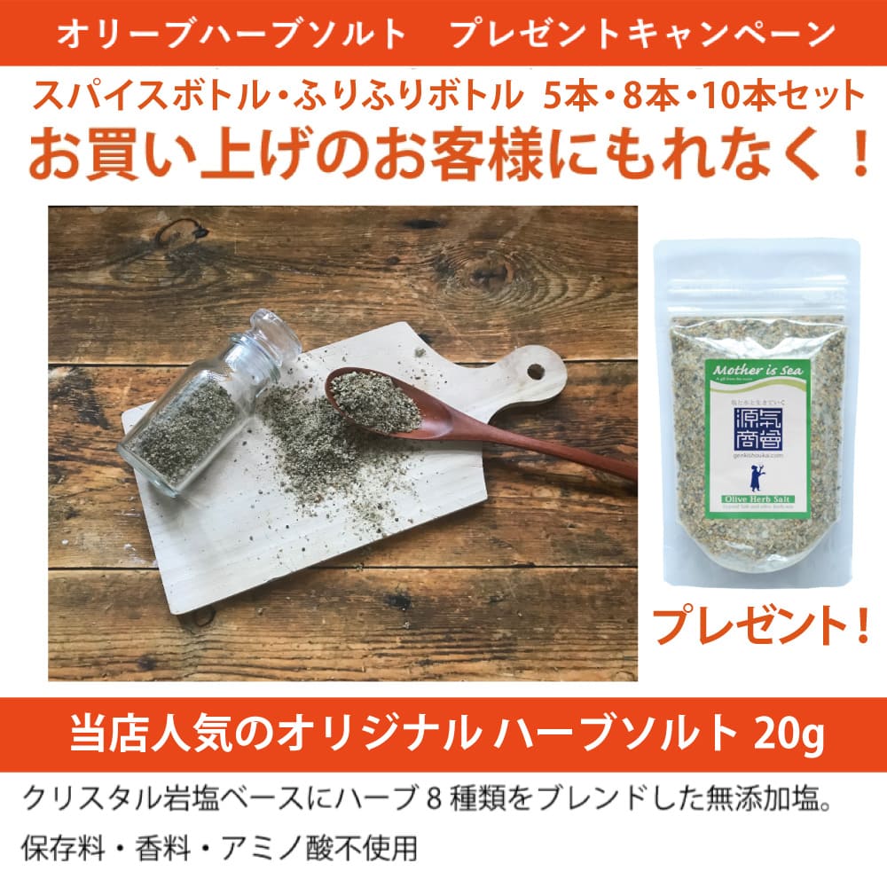 スパイスボトル ガラス 大 ビッグ BIG 調味料入れ 13cm 5本セット ガラス瓶 ガラス製 ハーブ スパイス カレー ボトル ハーブソルトプレゼント中