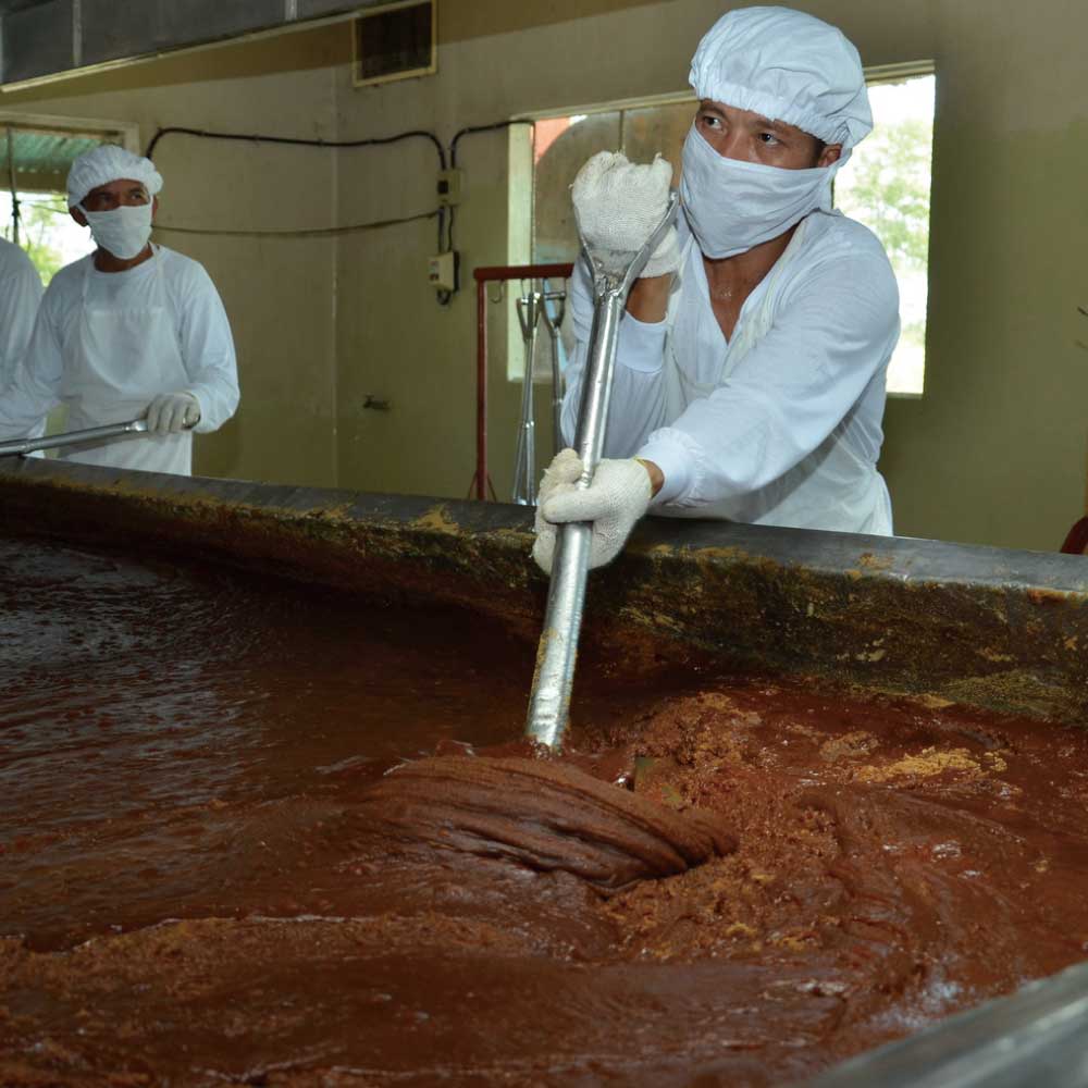 在庫限り】マスコバド糖 黒砂糖 500g オルタートレードジャパン 無添加 無精製砂糖 フェアトレード 砂糖、甘味料 