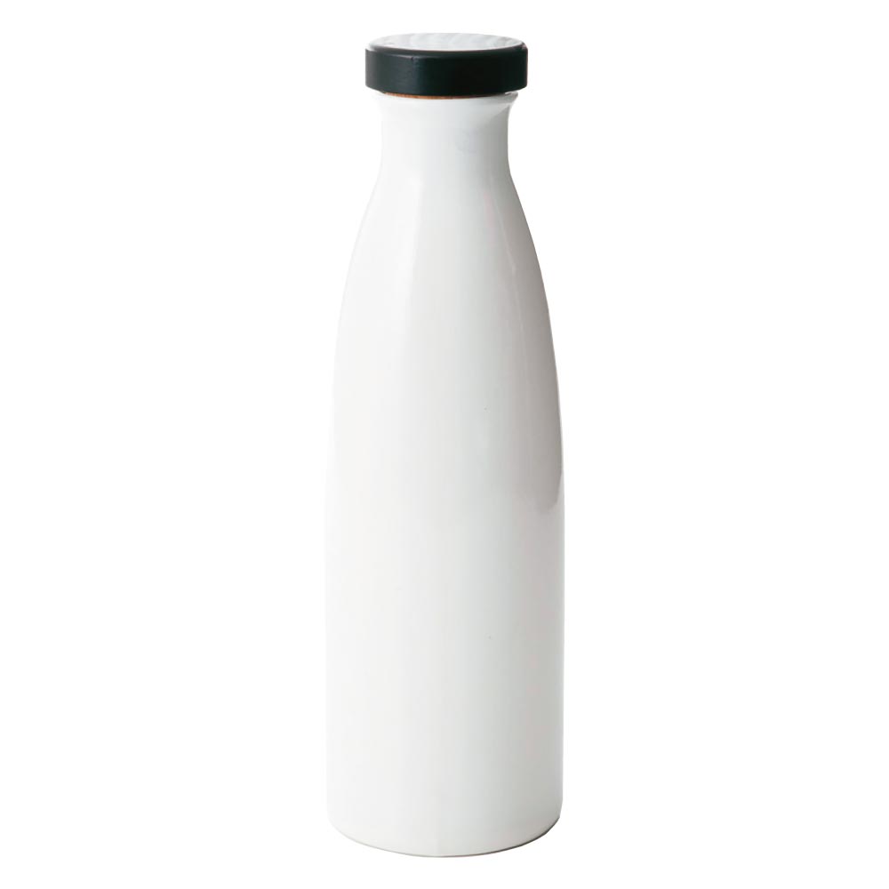 イオンボトル 信楽焼 Ion bottle Candy 1000ml 全5色 箱入り 日本製