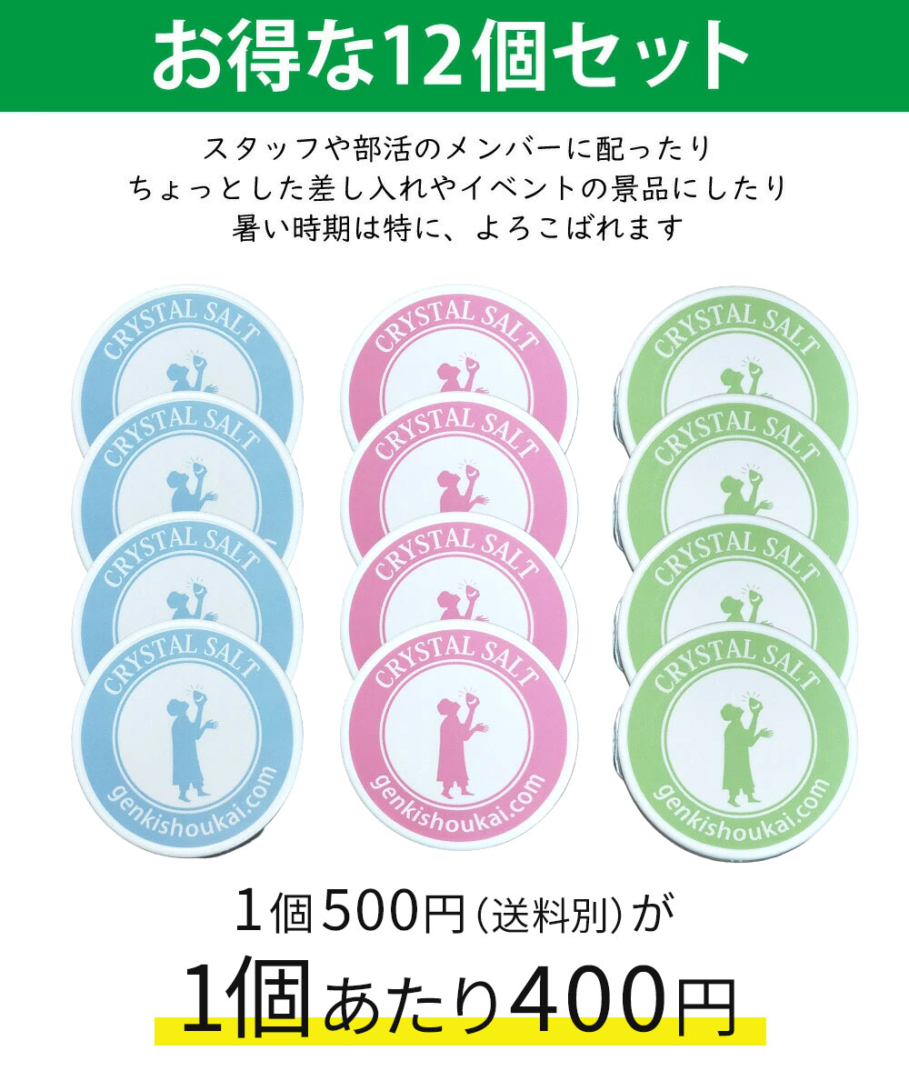 岩塩 ヒマラヤ岩塩 携帯ケース 12個 セット 熱中症対策 携帯用 源気商会 ソルトケース 塩 塩飴 塩あめ 天然 無添加