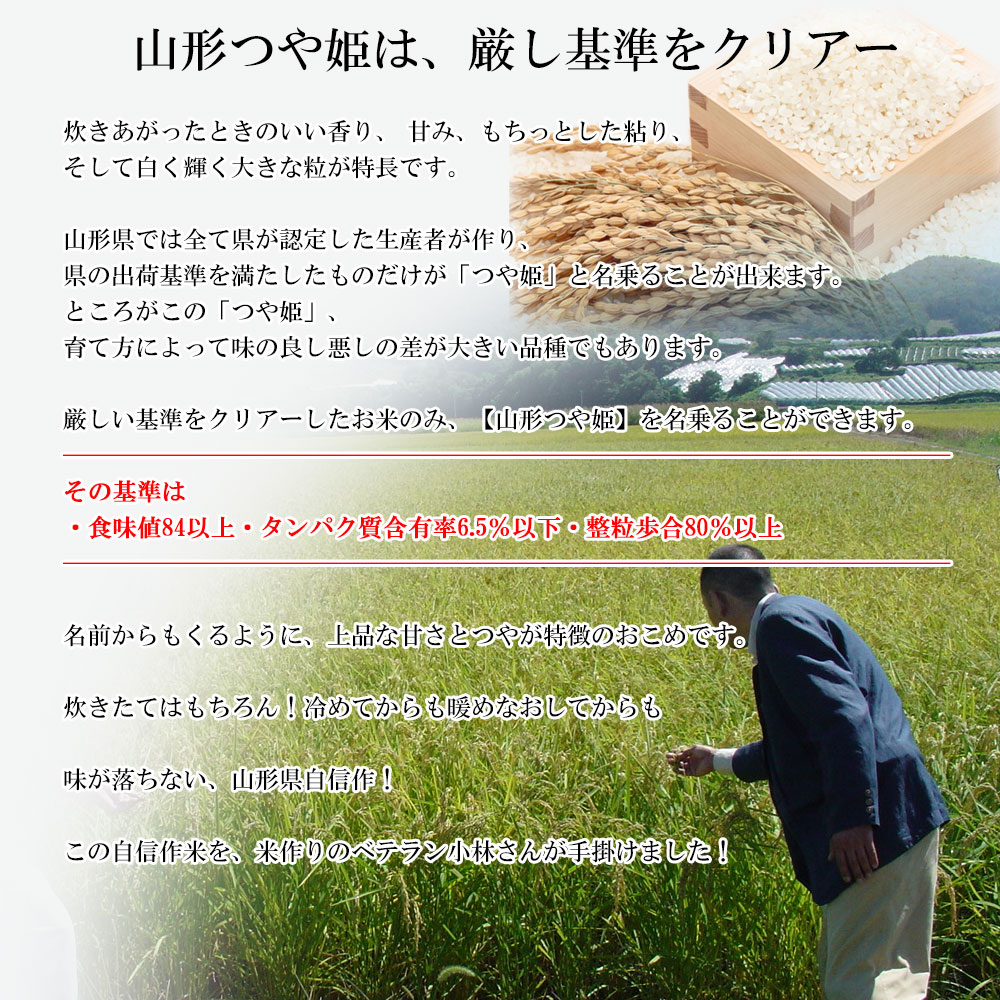 米 10kg 送料無料 農薬8割減 化学肥料不使用 減農薬 つや姫 玄米