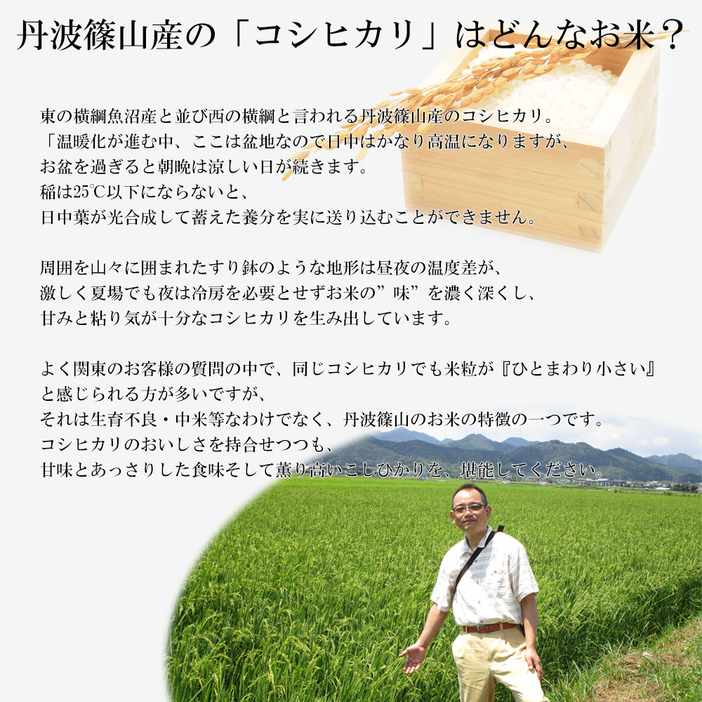 米 30kg 送料無料 農薬7割減栽培 1等米 減農薬米 コシヒカリ白米 産地 