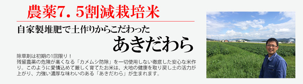 新米 新米 米 送料無料 農薬7.5割減 1等米 あきだわら 白米5kg 産年：令和30年 産地：丹波篠山産 生産者：田渕信也　玄米,減農薬　玄米,看板１