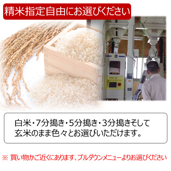 無農薬米 5kg 送料無料 JAS有機認証 山形県産 無農薬コシヒカリ 玄米