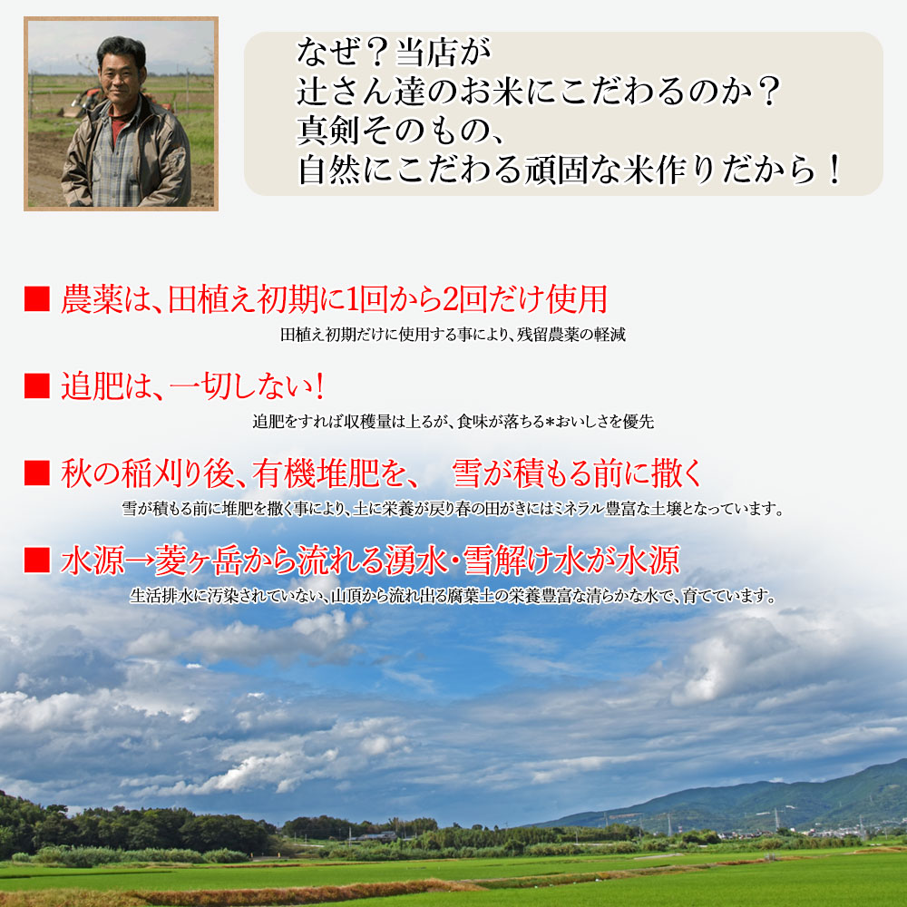米 10kg 送料無料 【精米選択可能】 新潟産 みずほの輝き玄米 産年令和6年 農家辻勉氏 玄米 白米 7分搗き 5分搗き 3分搗き |  | 07
