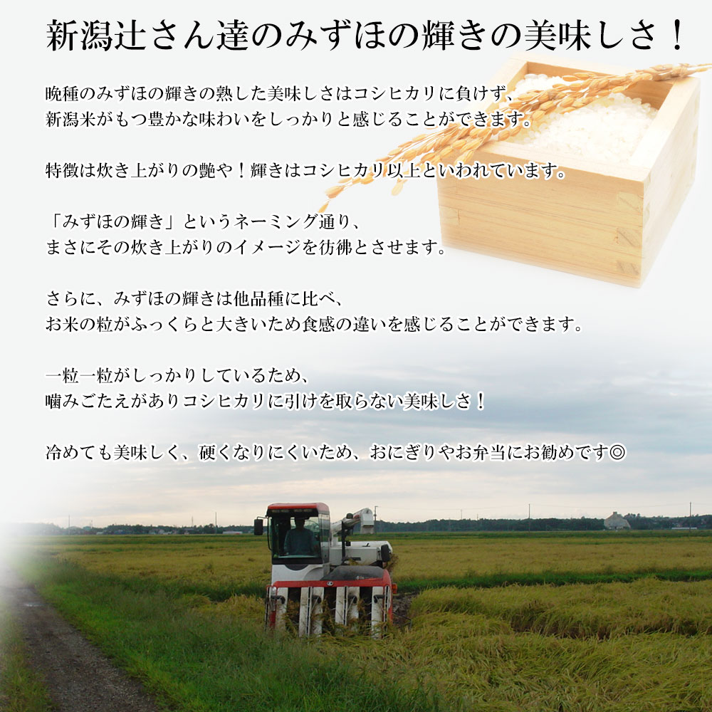 米 10kg 送料無料 【精米選択可能】 新潟産 みずほの輝き玄米 産年令和6年 農家辻勉氏 玄米 白米 7分搗き 5分搗き 3分搗き |  | 03
