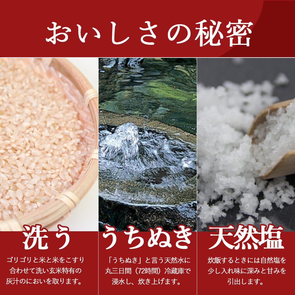 玄米おむすび　おまかせ30個セット 手作り おむすび 冷凍｜genmusuya｜07