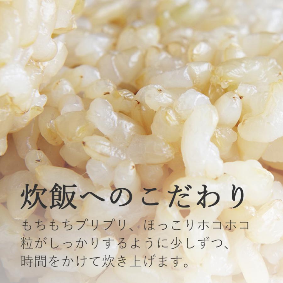 玄米 おにぎり 鶏とたけのこ 手作り おむすび 冷凍 米、ごはん