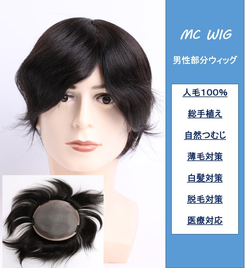 男性用 カツラ メンズウィッグ ヘアピース 白髪 しらが 男性用 メンズ