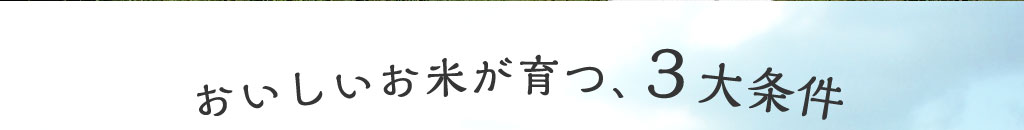 おいしいお米が育つ、3大条件