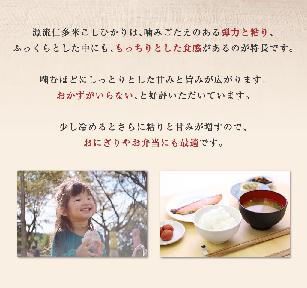 コシヒカリ 【販売終了】令和6年産 新米 源流 仁多米コシヒカリ コシヒカリ 【販売終了】令和6年産 新米 源流 仁多米コシヒカリ