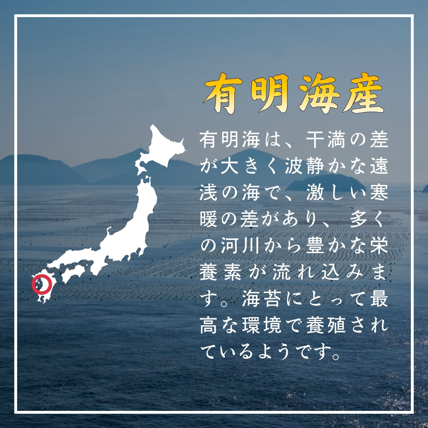 有明海産の海苔