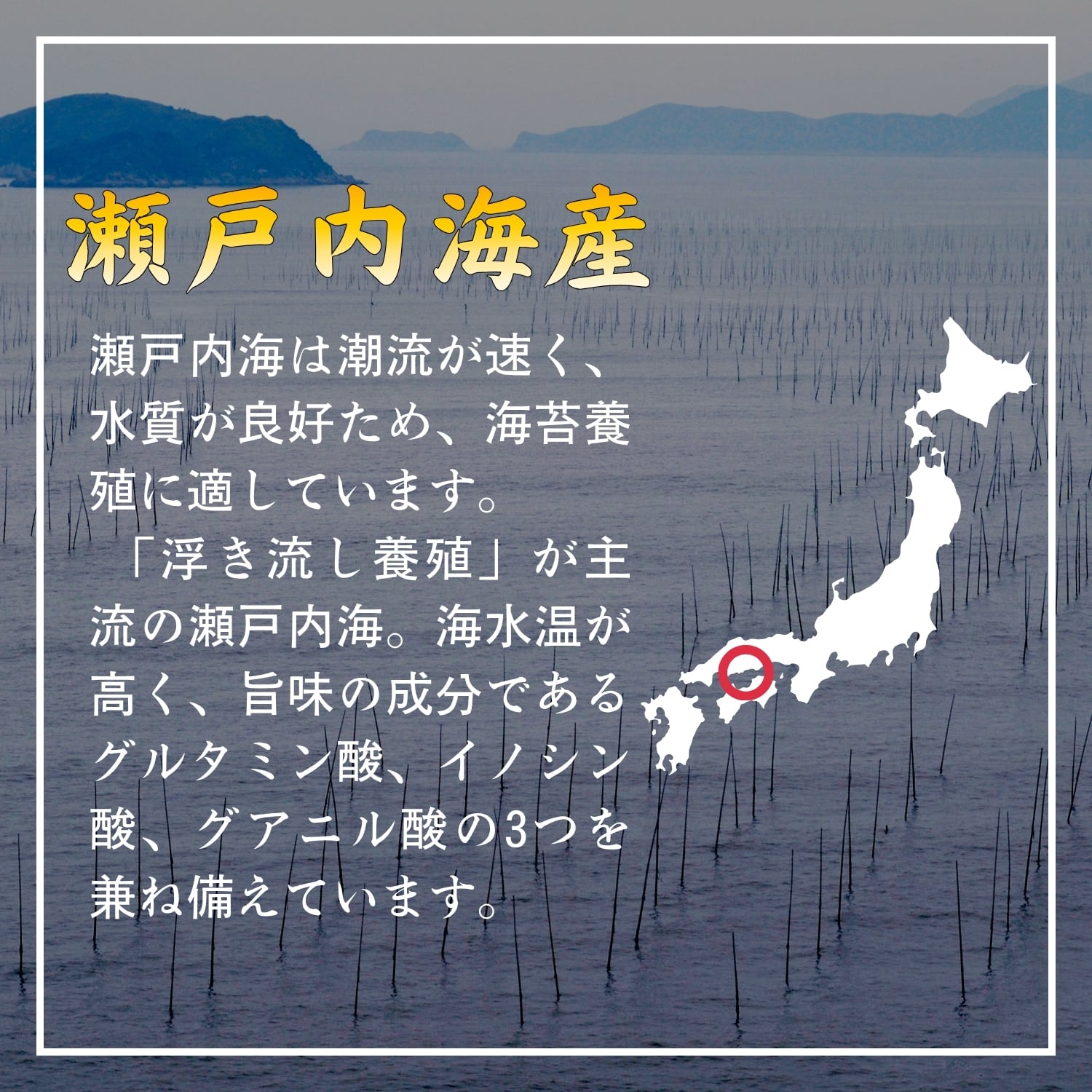 瀬戸内海産の海苔