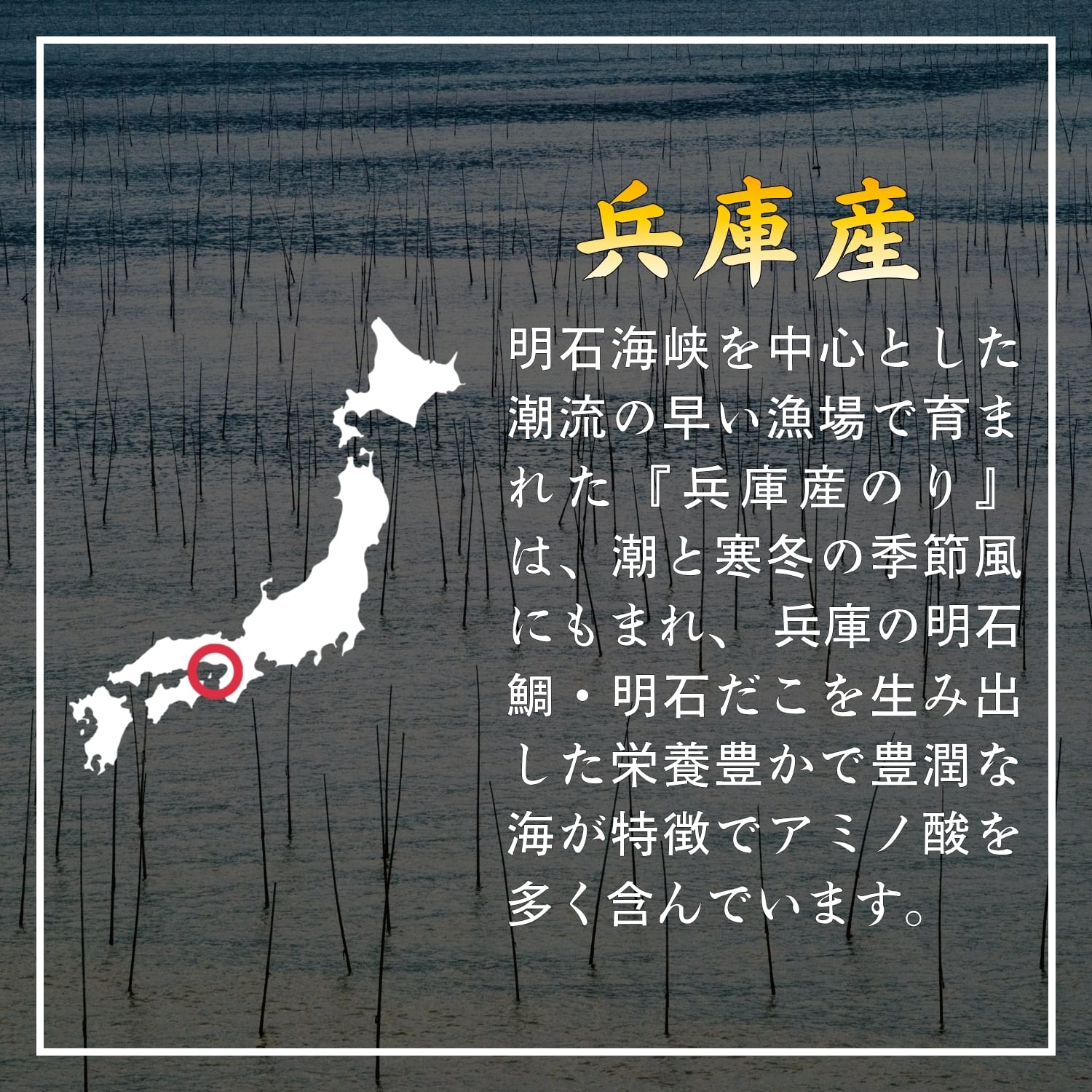 兵庫産の海苔