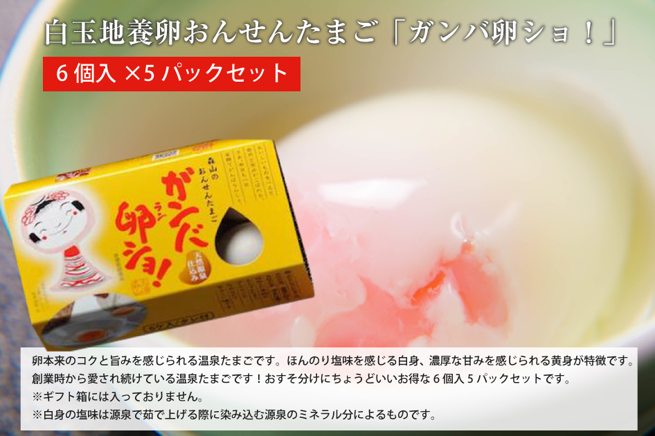 源泉湯庵森山