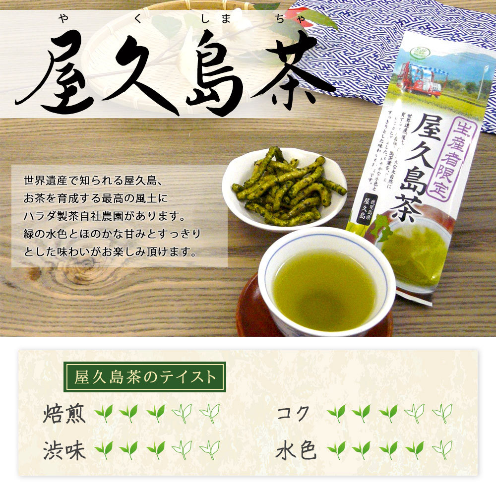 九州茶3種類セット