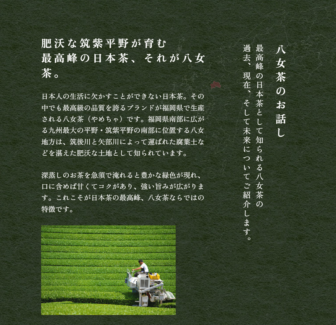 肥沃な筑紫平野が育む日本最高の日本茶