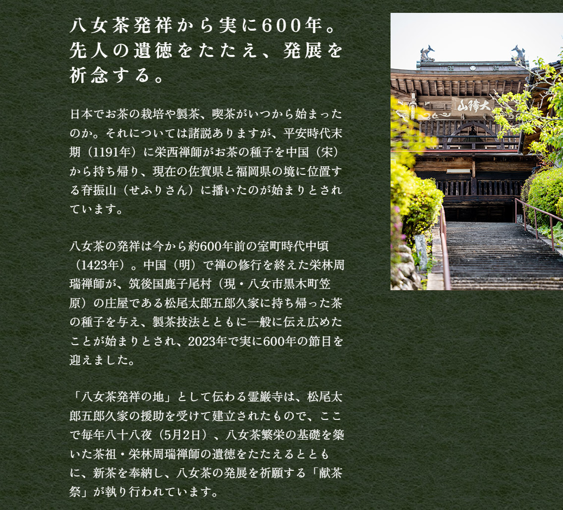 八女茶発祥から実に600年